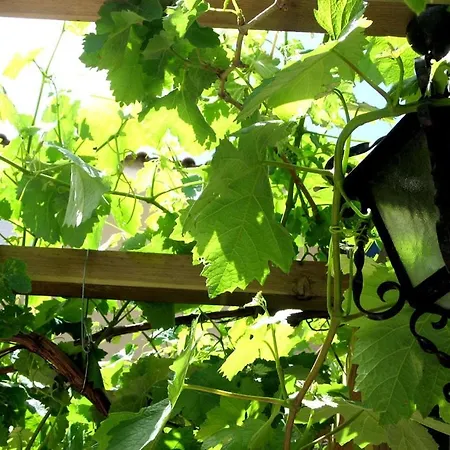 Near Rossio * リスボン